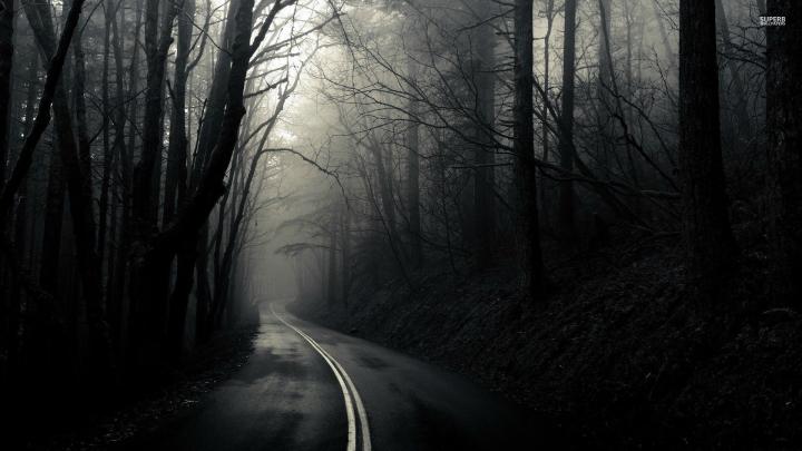 Spooky Forest Wallpaper (68+ images)