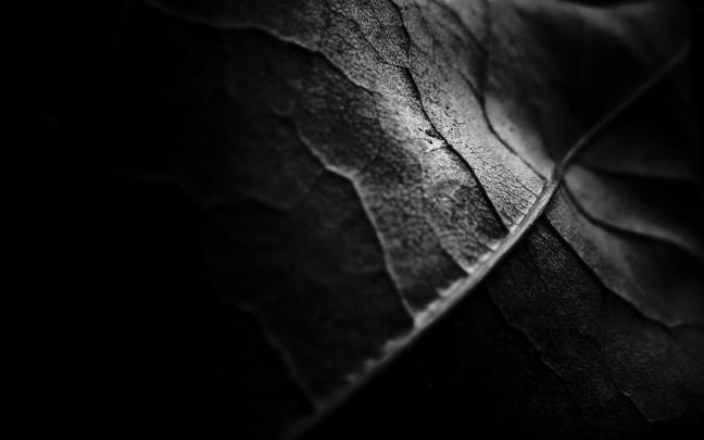 Dark Backgrounds 1920x1080