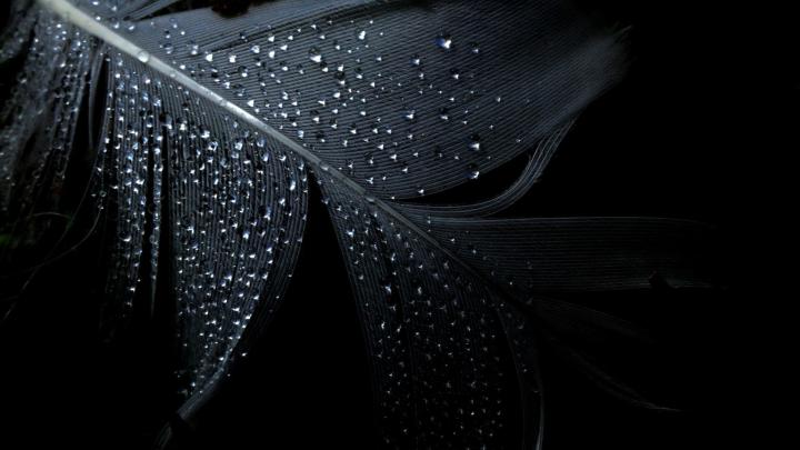 Free download Dark wallpaper hd [1920x1080] for your Desktop, Mobile 