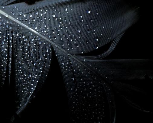 Free download Dark wallpaper hd [1920x1080] for your Desktop, Mobile 