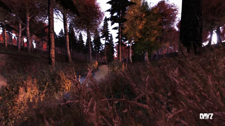 Die 87+ Besten Dayz Wallpapers