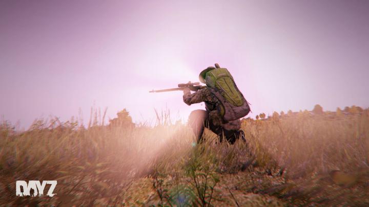 Die 87+ Besten Dayz Wallpapers