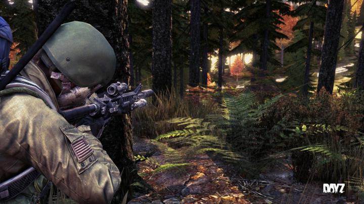 Dayz Hd Wallpaper - HD Wallpaper