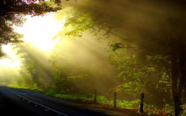 sunrays wallpaper - HD Desktop Wallpapers