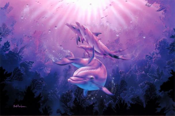 christian, Riese, Lassen, Dolphins, Deep, Sea, Corals, Art, Dolphins 