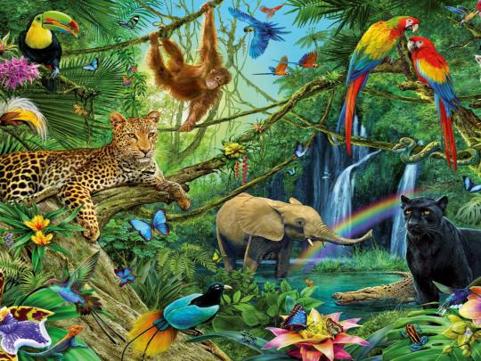 Animal Kingdom Dwellers Of The Jungle Desktop Backgrounds Free Download 
