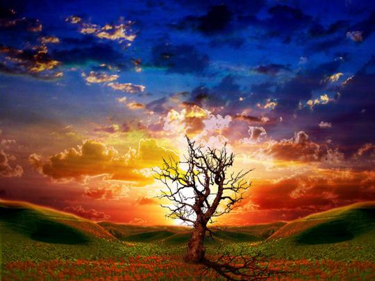 Moving Nature Wallpaper -