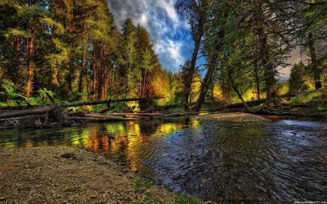 Wallpaper Nature Full Size Desktop 2018 (56+ images)