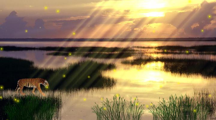Best 50+ Active Wallpaper on HipWallpaper | Attractive Wallpapers 