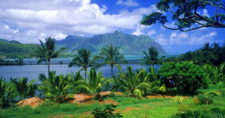 4K wallpaper: Nature Wallpaper Hd 1080p Free Download For Windows 7