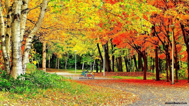 System Wallpapers Nature Free Download