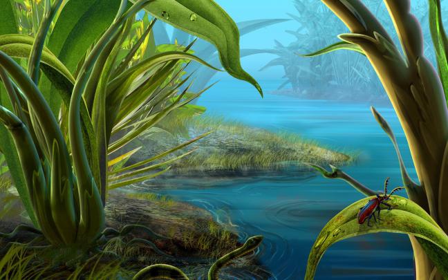 Moving Nature Wallpaper -