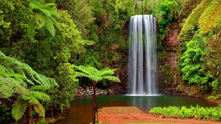 Tropical Waterfall Wallpapers