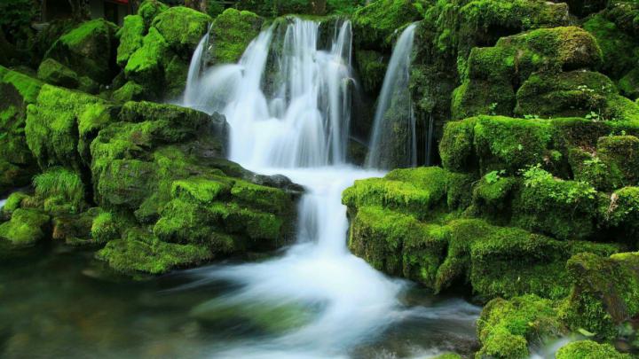 Waterfall Stream Between Algae Covered Rocks During Daytime HD Nature 