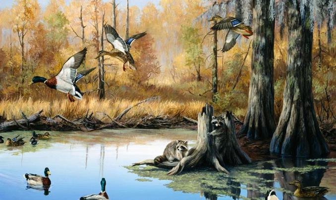 Duck Hunting Backgrounds \u00b7\u2460 