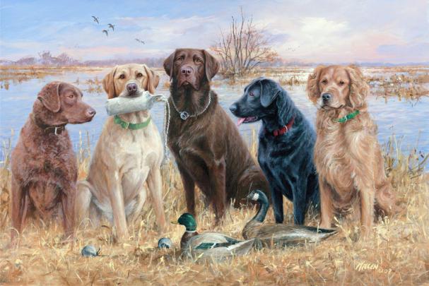 Duck Hunting Backgrounds