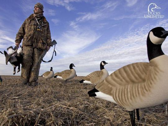 Duck Hunting Backgrounds