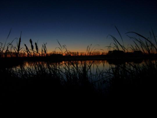Duck Hunting Backgrounds