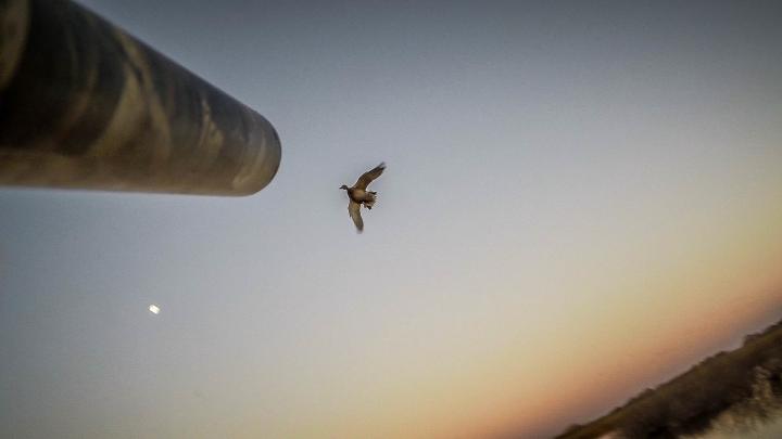 Duck Hunting Backgrounds \u00b7\u2460 