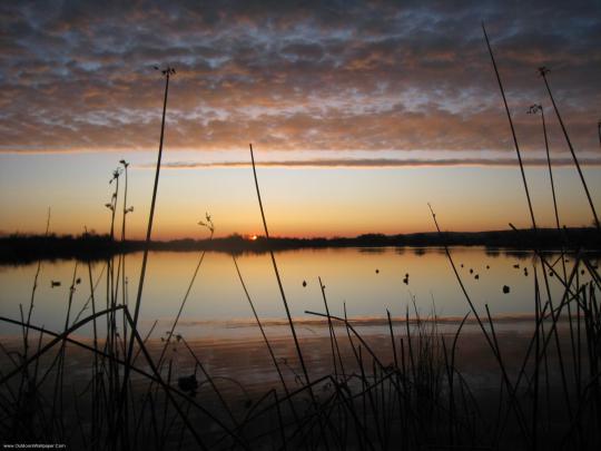 Duck Hunting Backgrounds