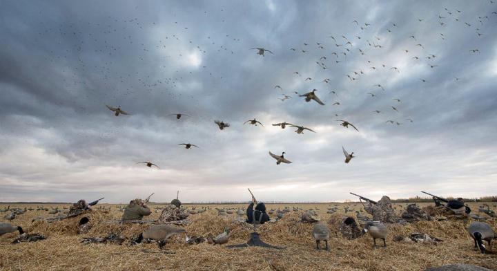 Duck Hunting Backgrounds