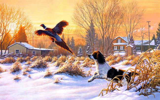 Duck Hunting Backgrounds \u00b7\u2460 