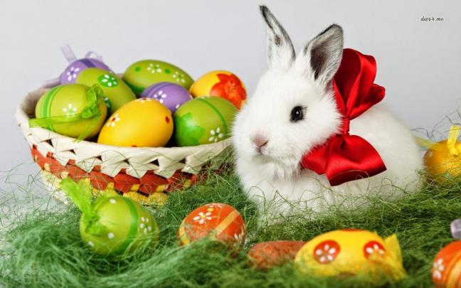 easter wallpapers bunny sweet - HD Desktop Wallpapers