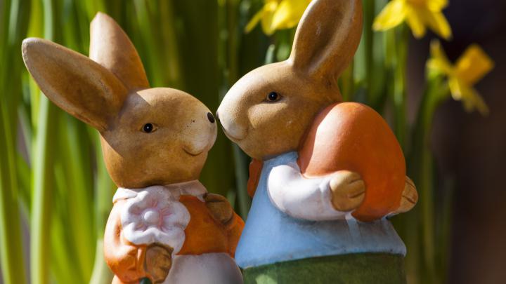 Easter Bunny Desktop Wallpaper (55+ images)