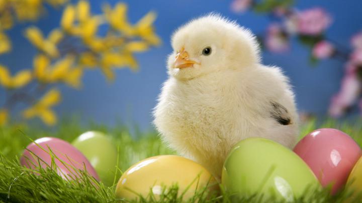Easter wallpaper \u00b7\u2460 Download free awesome HD backgrounds for desktop 