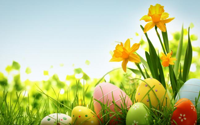 Easter Wallpaper HD download free collection (60+)