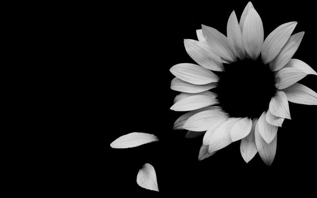 [44+] Elegant Desktop Wallpaper 