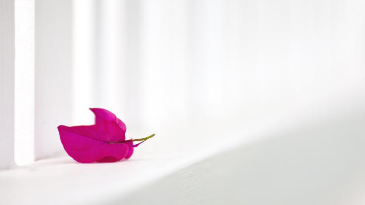 Elegant Desktop Wallpaper -