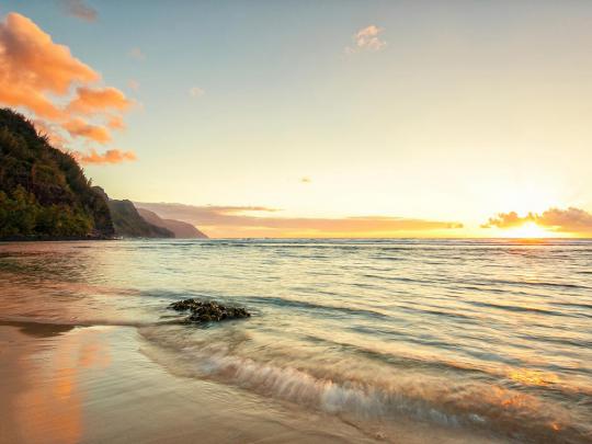Elegant Desktop Wallpaper -