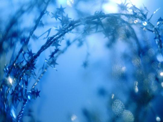 Elegant Christmas Desktop Wallpapers