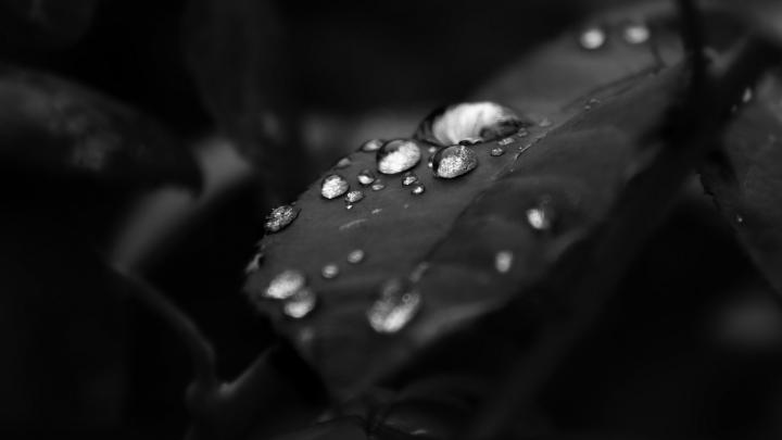Black Elegant Wallpaper \u00b7\u2460 