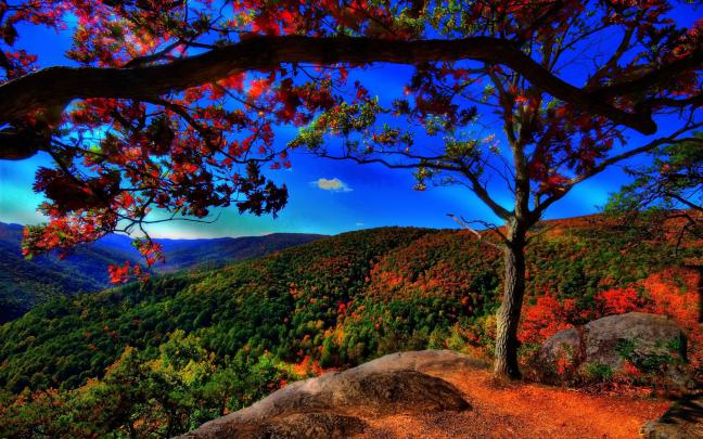 Fall Desktop Backgrounds Free
