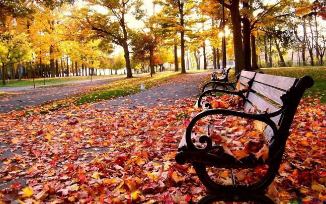 Fall desktop Backgrounds