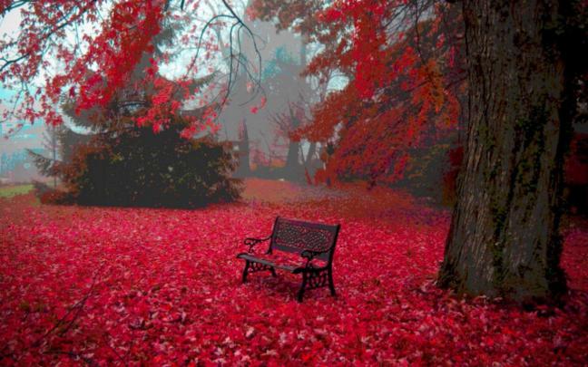 Free Fall Desktop Wallpaper Backgrounds