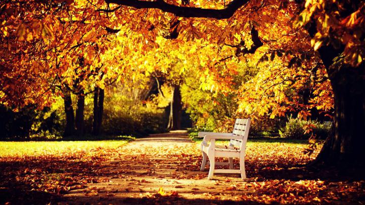 Autumn Wallpaper Examples for Your Desktop Background