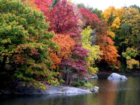 Autumn Backgrounds Wallpapers, Latest Fall Desktop Wallpapers, Pics 