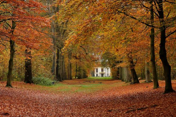 LOVE QUOTES: autumn desktop background