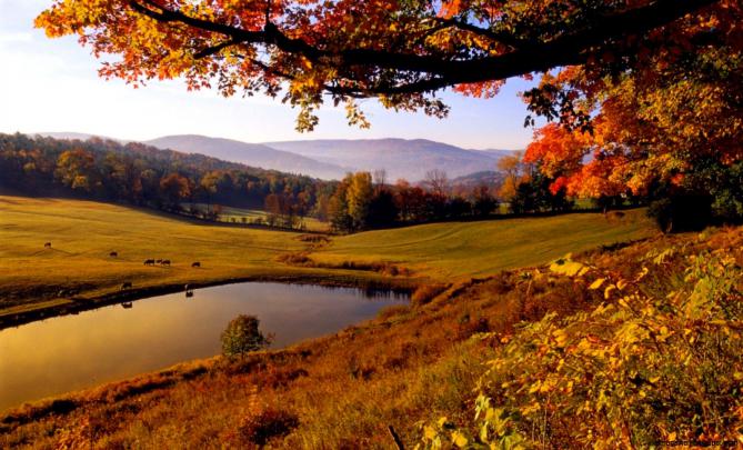 Autumn Desktop Wallpaper | Evolution Wallpapers