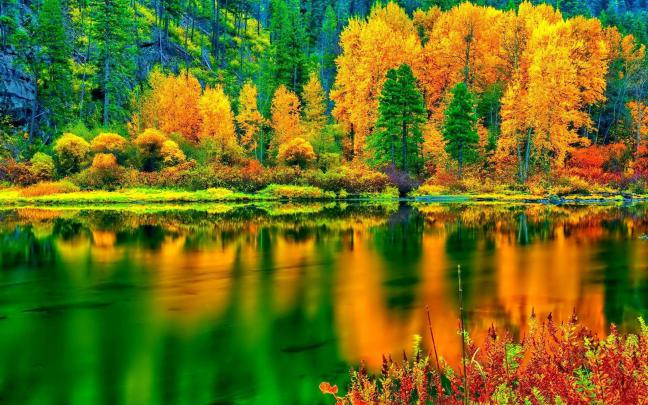 Breathtaking Autumn Colors Hd Desktop Wallpaper - Fall Colors Hd 