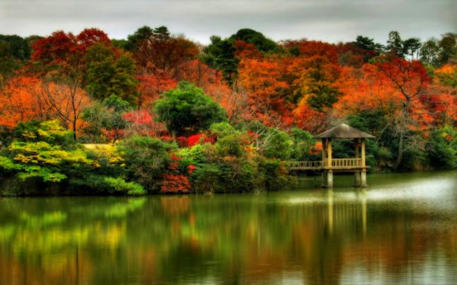 All new wallpaper : The beautiful autumn wallpaper for your desktop