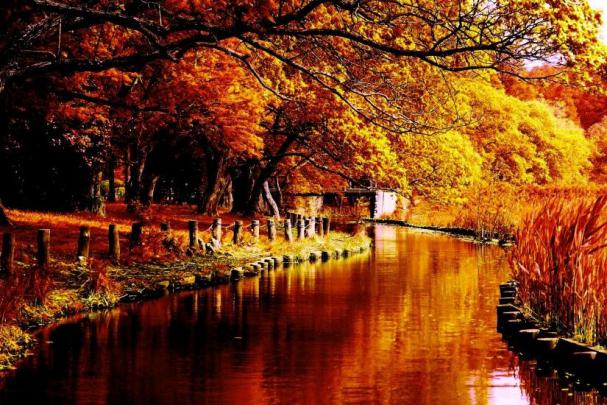 Fall Backgrounds Desktop \u00b7\u2460 