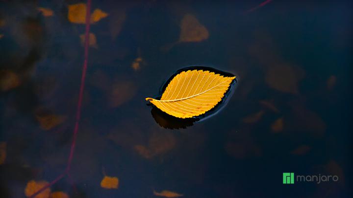 Minimalist Autumn Desktop - 2560x1440 - Download HD Wallpaper 