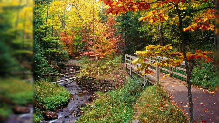 Desktop Wallpapers Fall