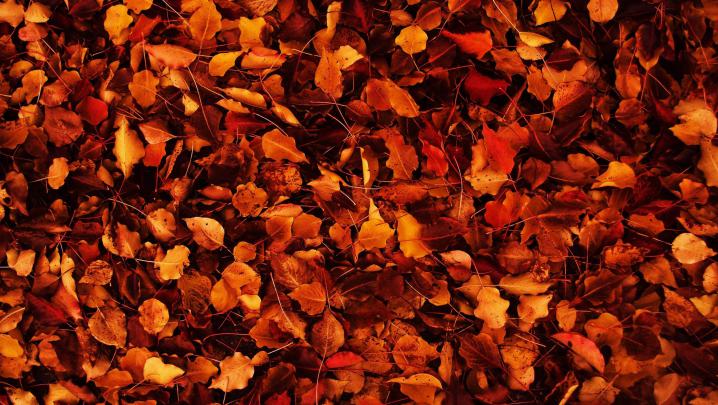 autumn-wallpaper-tumblr - Blackburn BID