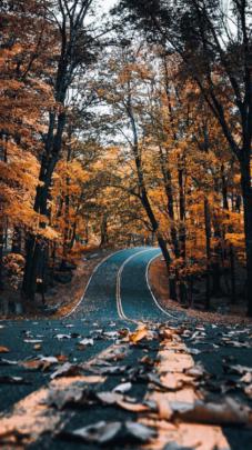 fall backgrounds | Tumblr