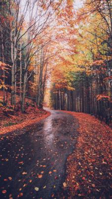 Cozy Fall Tumblr Backgrounds - sweetlove-girl